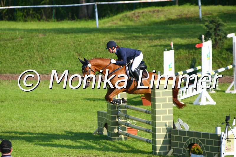 005L3665_Aristocat W_Springpferde A.JPG